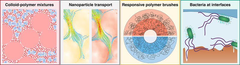 Colloid-polymer mixtures; Nanoparticle transport; Responsive polymer brushes; Bacteria at interfaces
