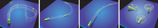 "Walking," "crawling," "swimming," and "spinning" near-surface motility mechanisms. Four near-surface motility mechanisms of the bacterium Pseudomonas aeruginosa.